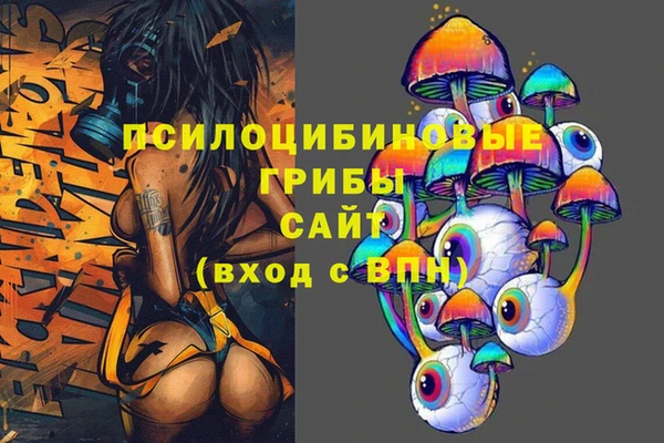 экстази Бородино